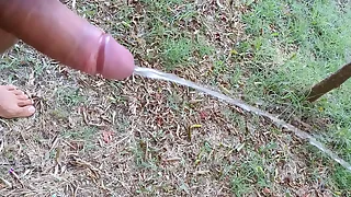 44524 gay porn videos